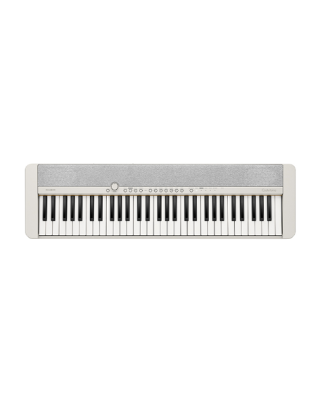 CASIO CT-S1WE