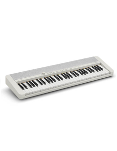 CASIO CT-S1WE 2