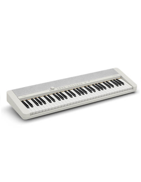 CASIO CT-S1WE