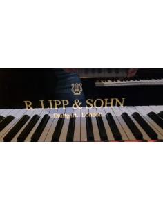 OCCASION PIANO A QUEUE LIPP & SOHN 2