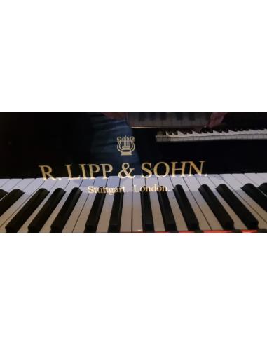 OCCASION PIANO A QUEUE LIPP & SOHN