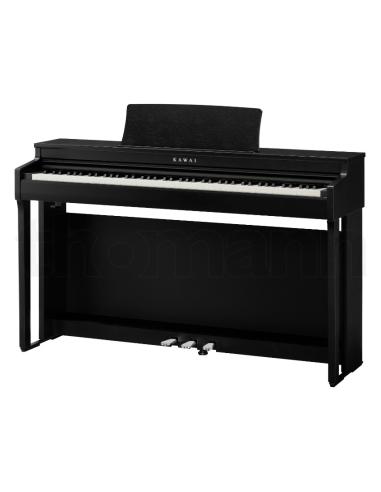 KAWAI CN 201B