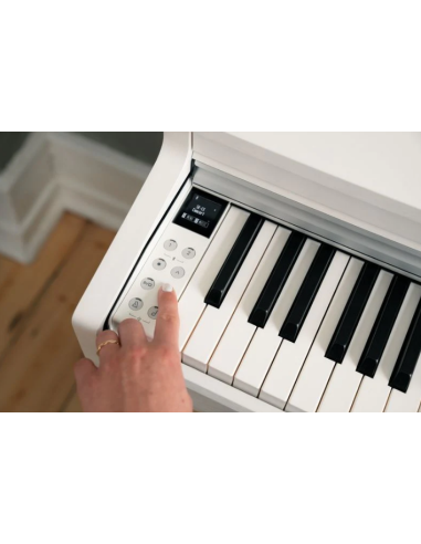 KAWAI CN 201W