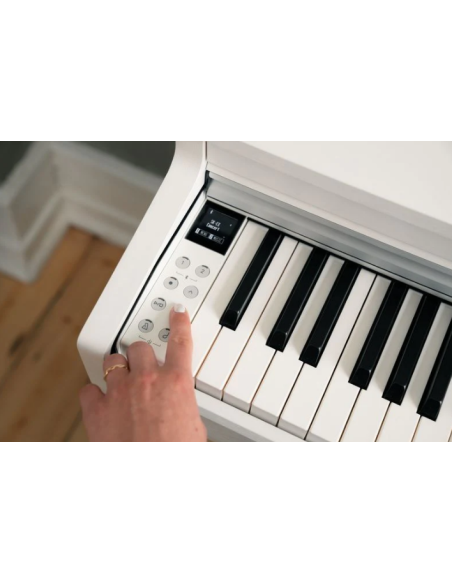KAWAI CN 201W