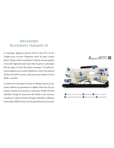 KAWAI CN 301B
