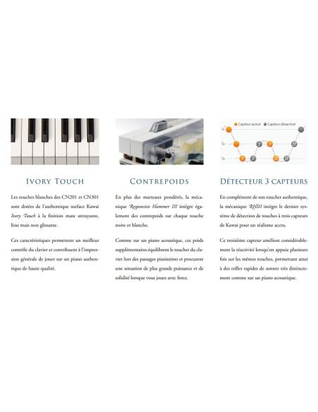 KAWAI CN 301B