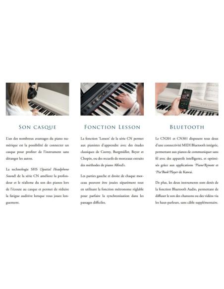 KAWAI CN 301B
