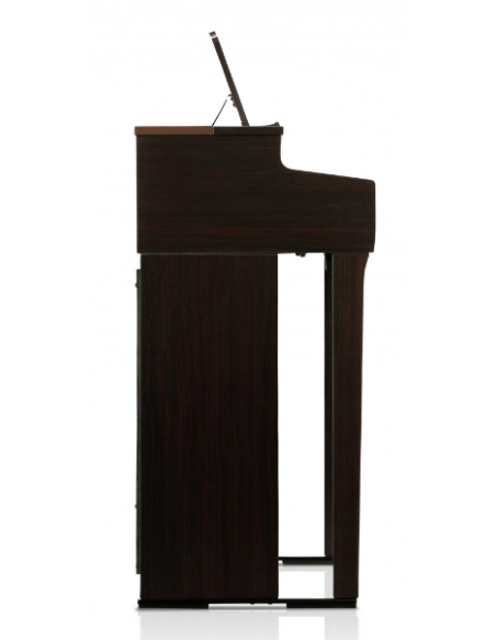 KAWAI CN 301B
