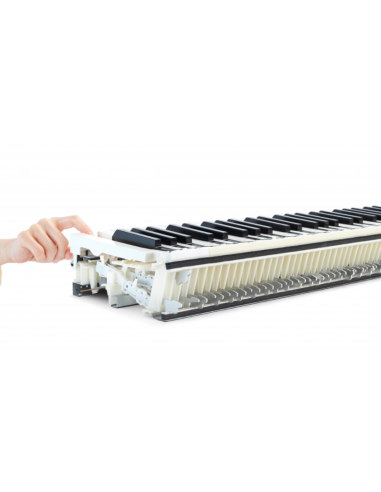 KAWAI CN 301B