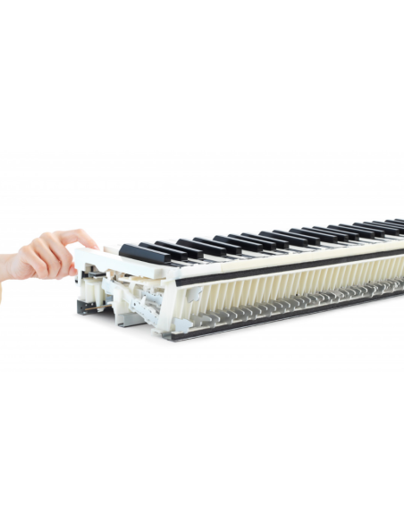 KAWAI CN 301B