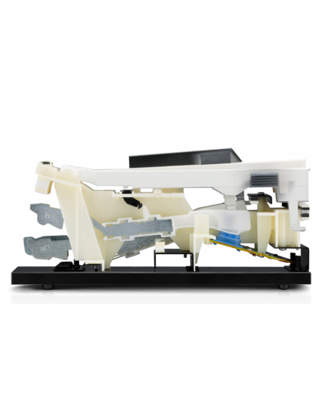 KAWAI CN 301B