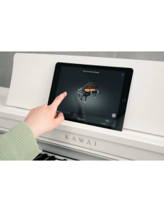 KAWAI CN 301W 2