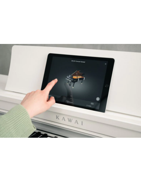 KAWAI CN 301W