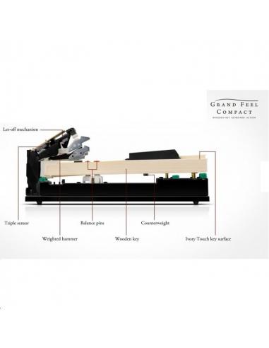 KAWAI CA 401 W