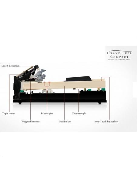 KAWAI CA 401 W