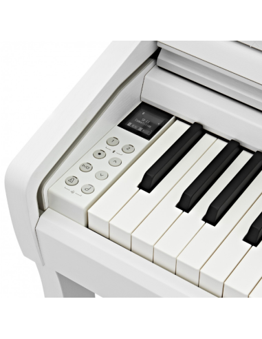 KAWAI CA 401 W