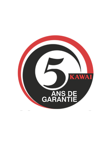 KAWAI CA 401 W