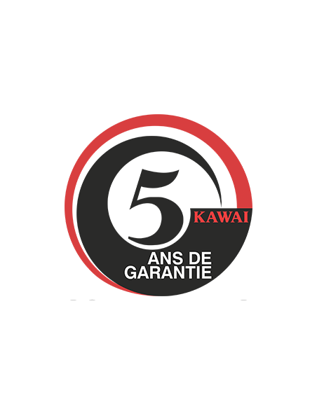 KAWAI CA 401 W