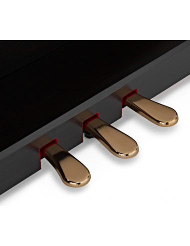 KAWAI CA 401 R