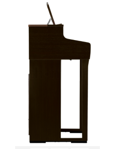 KAWAI CA 501 R 2