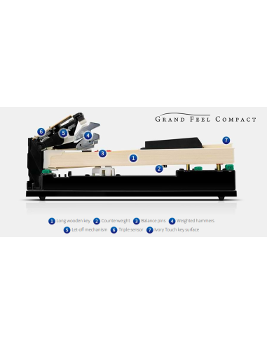 KAWAI CA 701 B