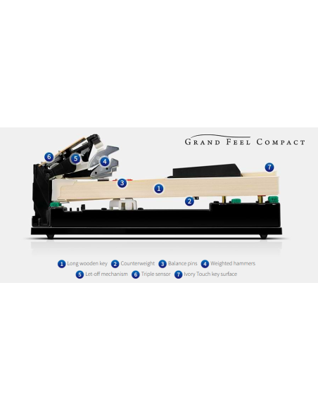 KAWAI CA 701 B