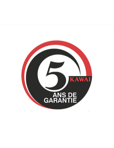 KAWAI CA 701 B