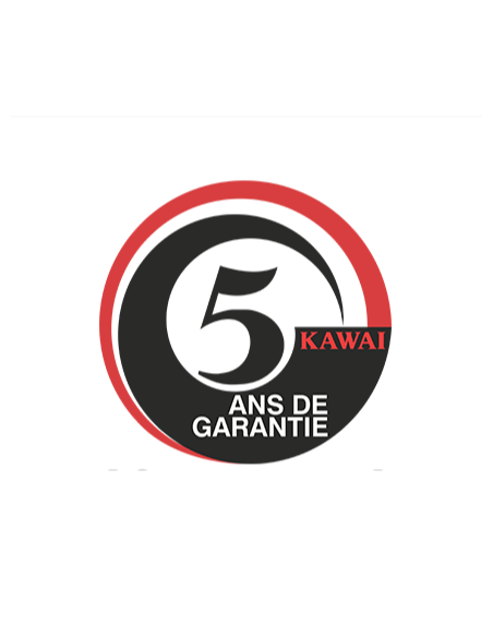 KAWAI CA 701 B