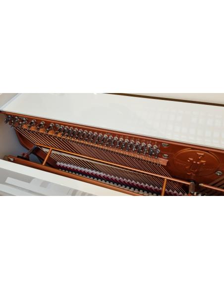 DESTOCKAGE  PIANO FEURICH 115 PREMIERE  EXCELLENTE OP