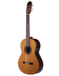 PRODIPE SOLOIST 500