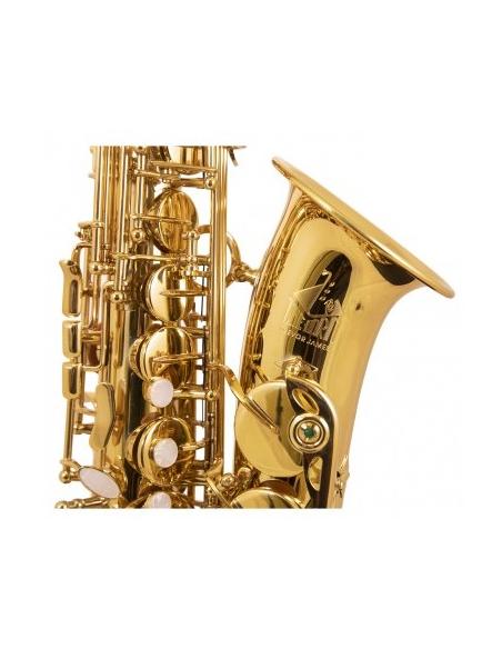 TREVOR JAMES " THE HORN " SAXOPHONE ALTO 3730G